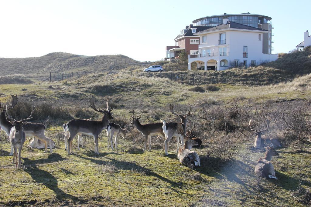 Dune Apartment Zandvoort Εξωτερικό φωτογραφία