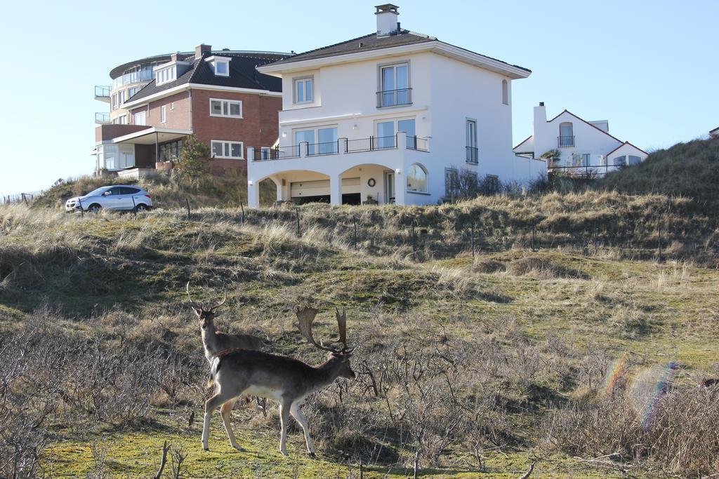 Dune Apartment Zandvoort Εξωτερικό φωτογραφία