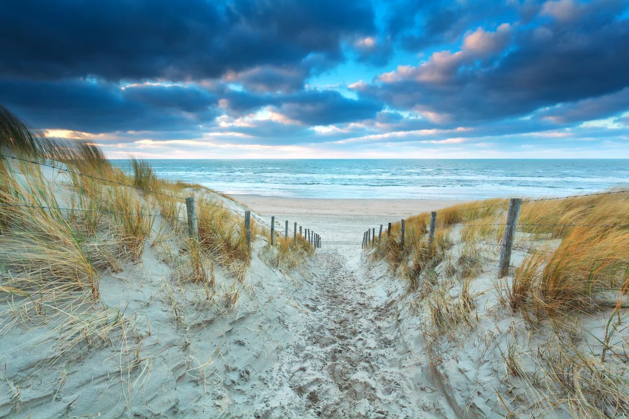 Dune Apartment Zandvoort Εξωτερικό φωτογραφία
